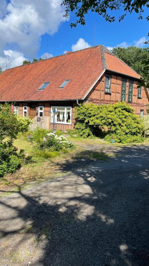 Hof Dueshop Lejlighed Bad Fallingbostel Eksteriør billede