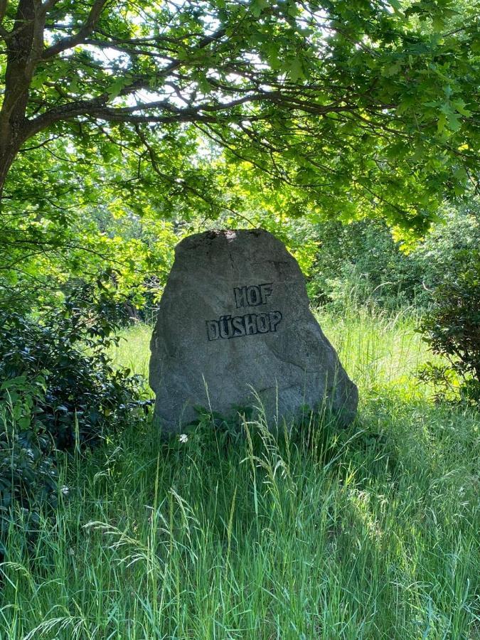 Hof Dueshop Lejlighed Bad Fallingbostel Eksteriør billede