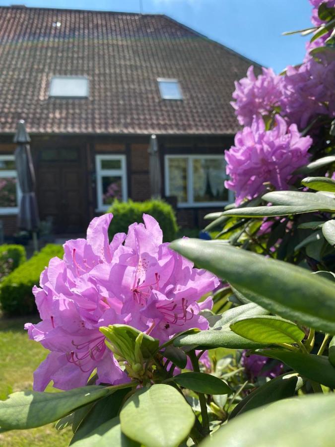 Hof Dueshop Lejlighed Bad Fallingbostel Eksteriør billede
